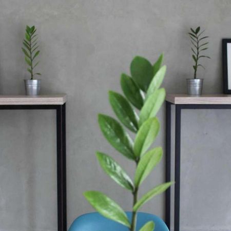 Casa Living Setiabudi Dżakarta Zewnętrze zdjęcie